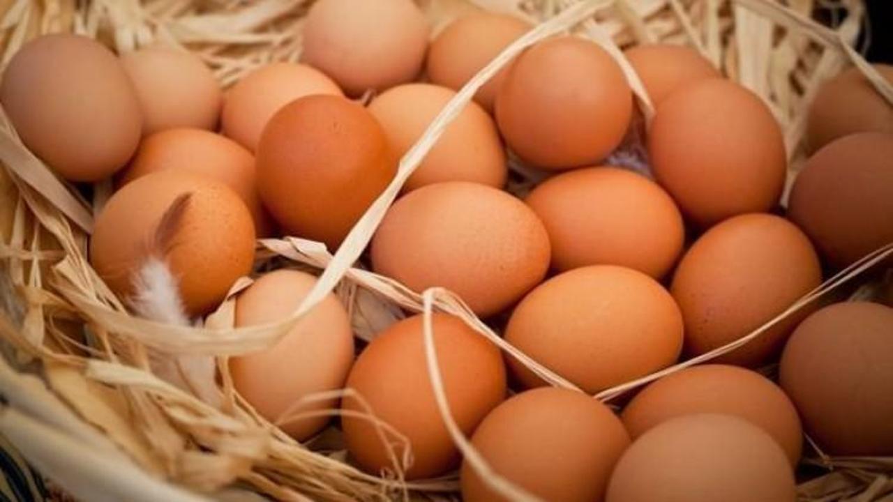 &Ouml;zg&uuml;r tavuk yumurtasına talep artıyor