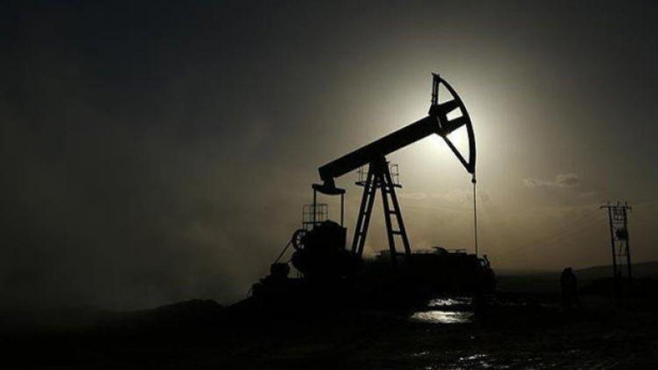 Dünya Bankası 2017 petrol fiyatı kararı