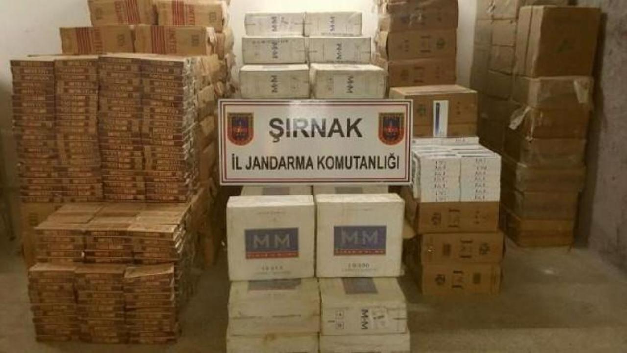 130 bin paket kaçak sigara ele geçirildi