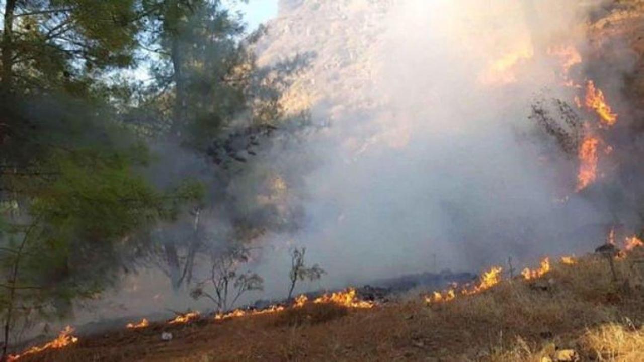 Ateşle oynayan öğrenciler yangına neden oldu