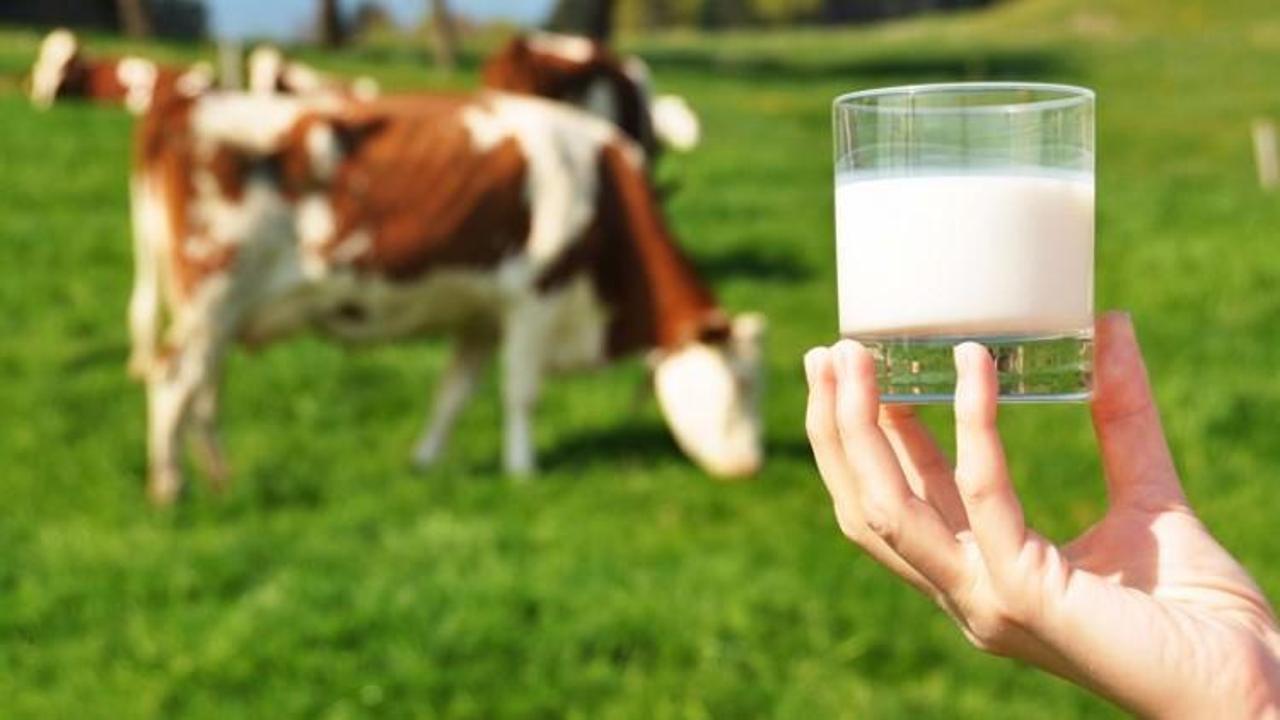 Süt ürünlerine ‘yeni’ mevzuat