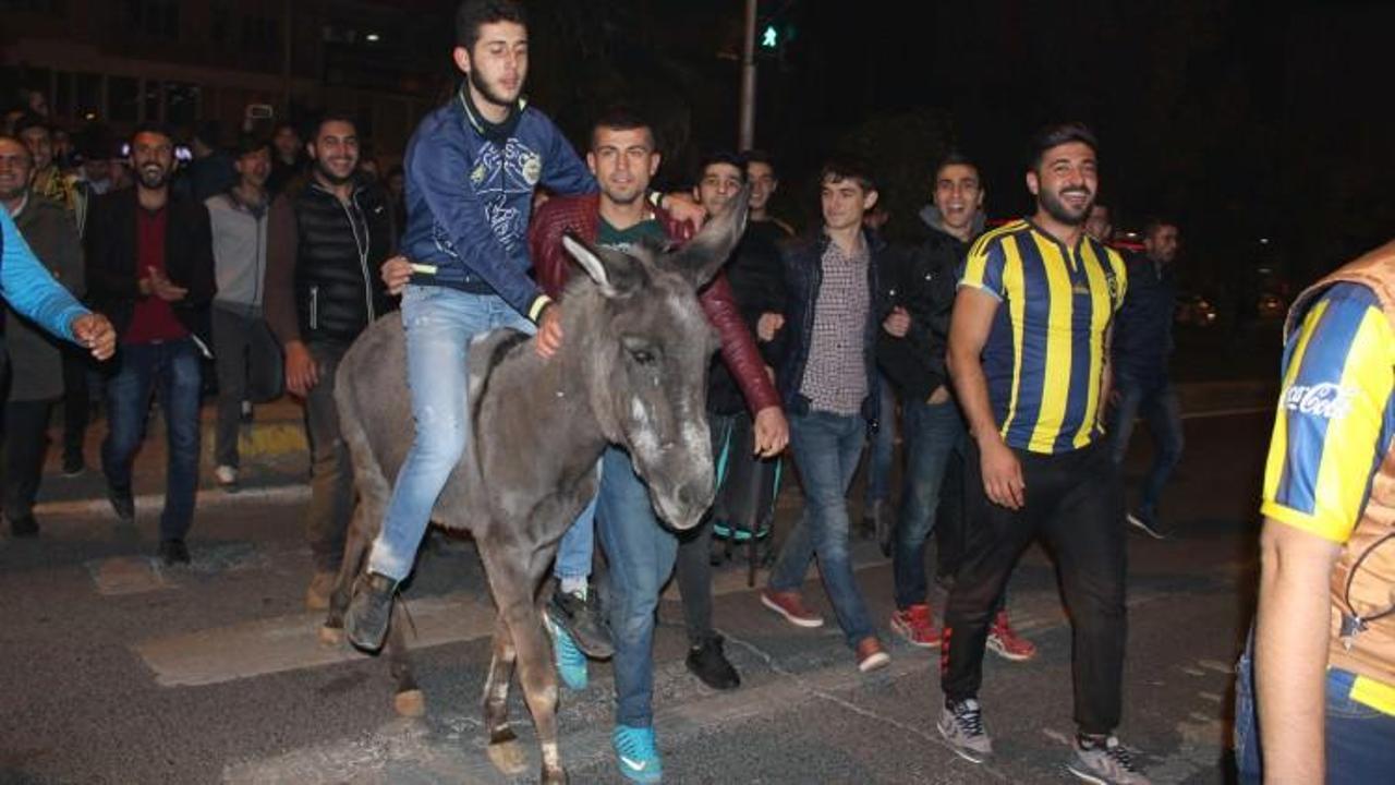 Galibiyeti eşek sırtında kutladılar