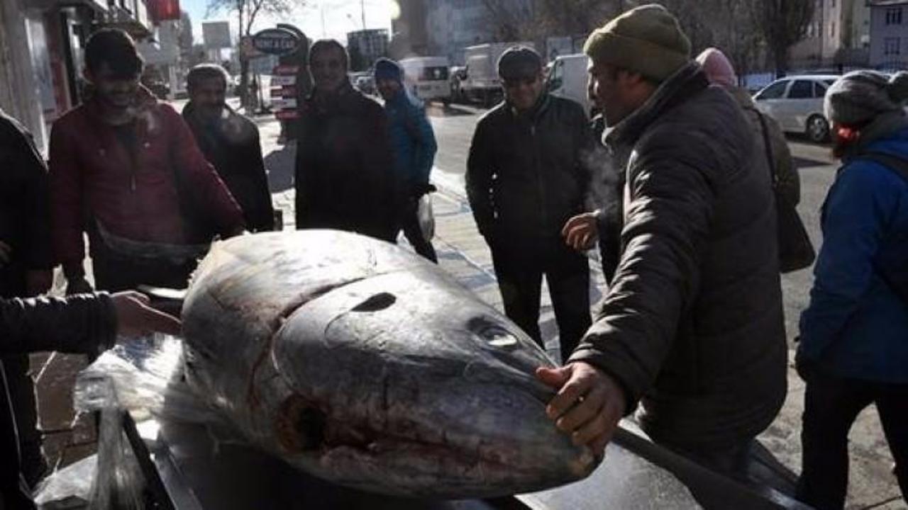 Türkiye Norveç'e balık yağı satıyor