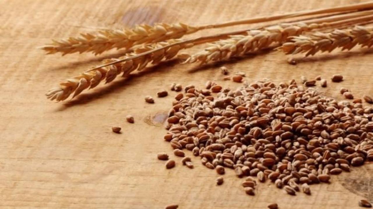 Gümrük vergisi düşünce buğday fiyatı geriledi