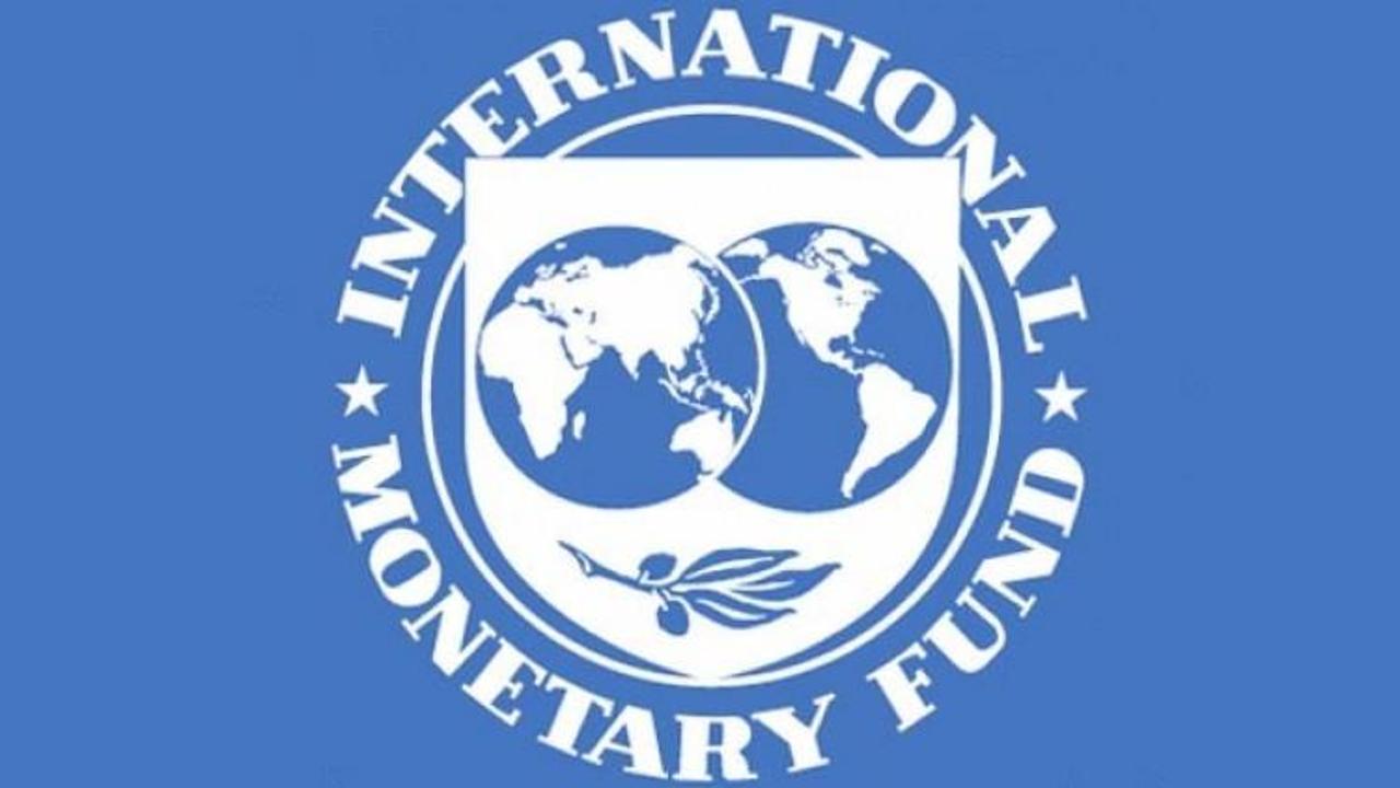IMF'ten çok önemli 'dolar' açıklaması