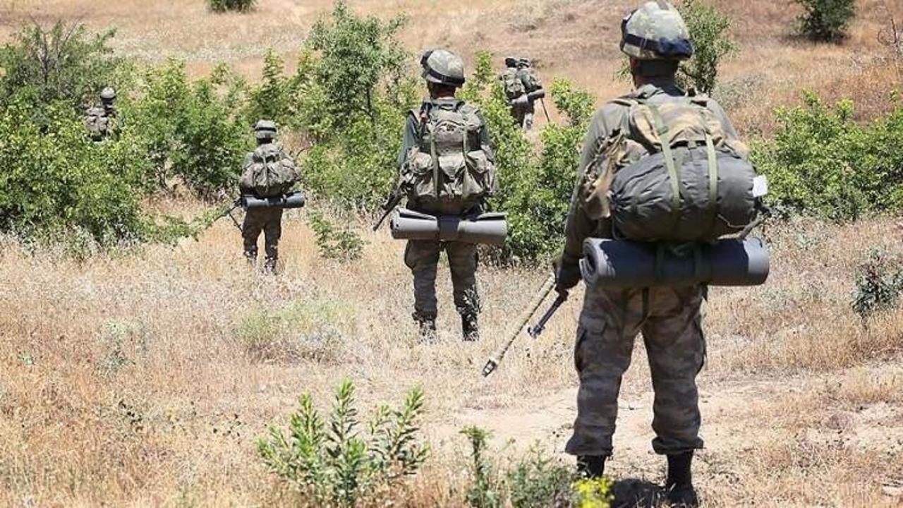 Siirt kırsalında terör örgütü PKK'ya ağır darbe