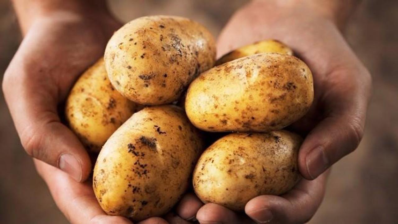 Patates ile tek tip beslenerek kilo verilir mi?