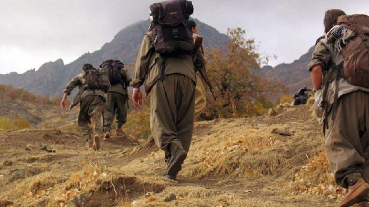 Üst düzey PKK'lı Bulgar sınırında yakalandı