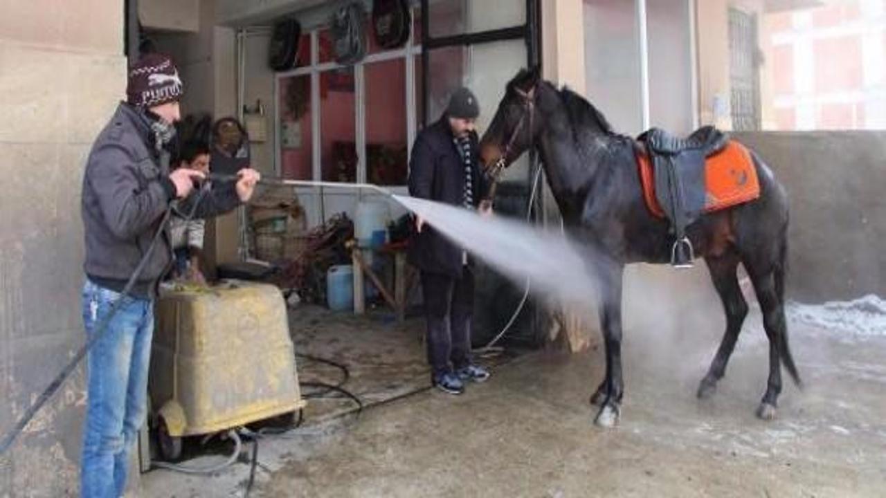 Karda bindiği atını oto yıkamacıda yıkattı