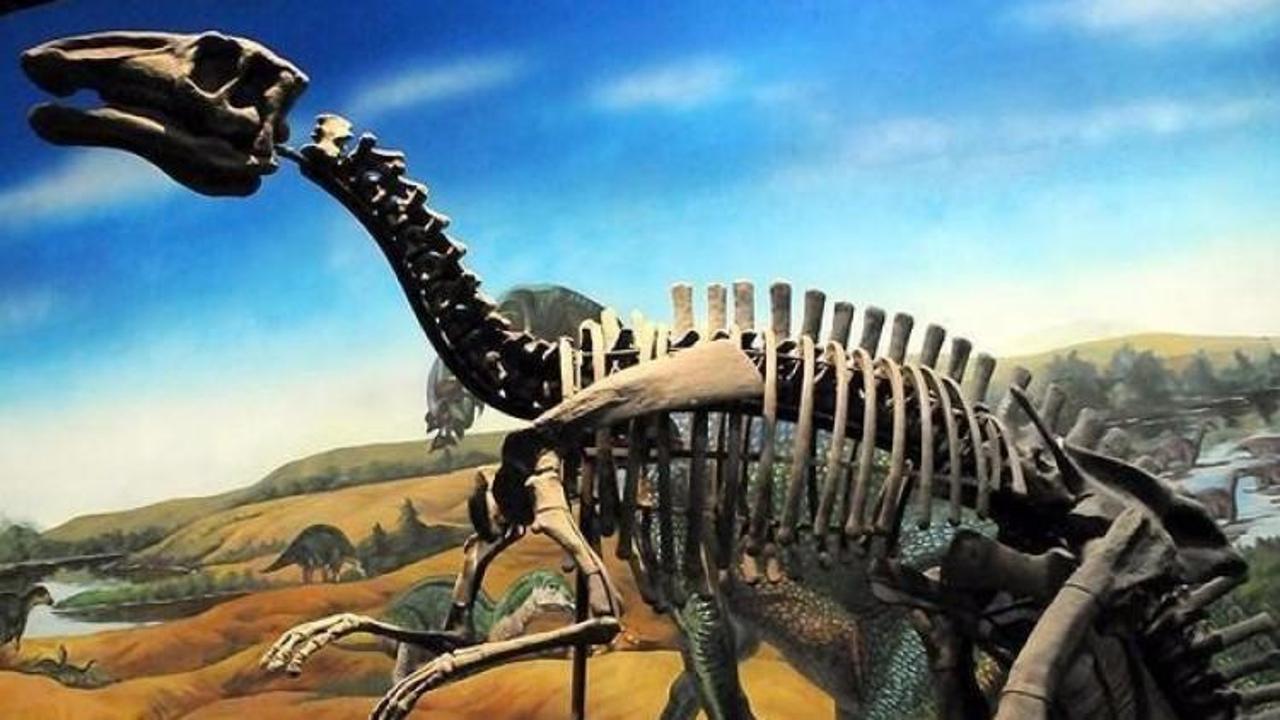 Bilim insanlarından dinozorlarla ilgili yeni keşif