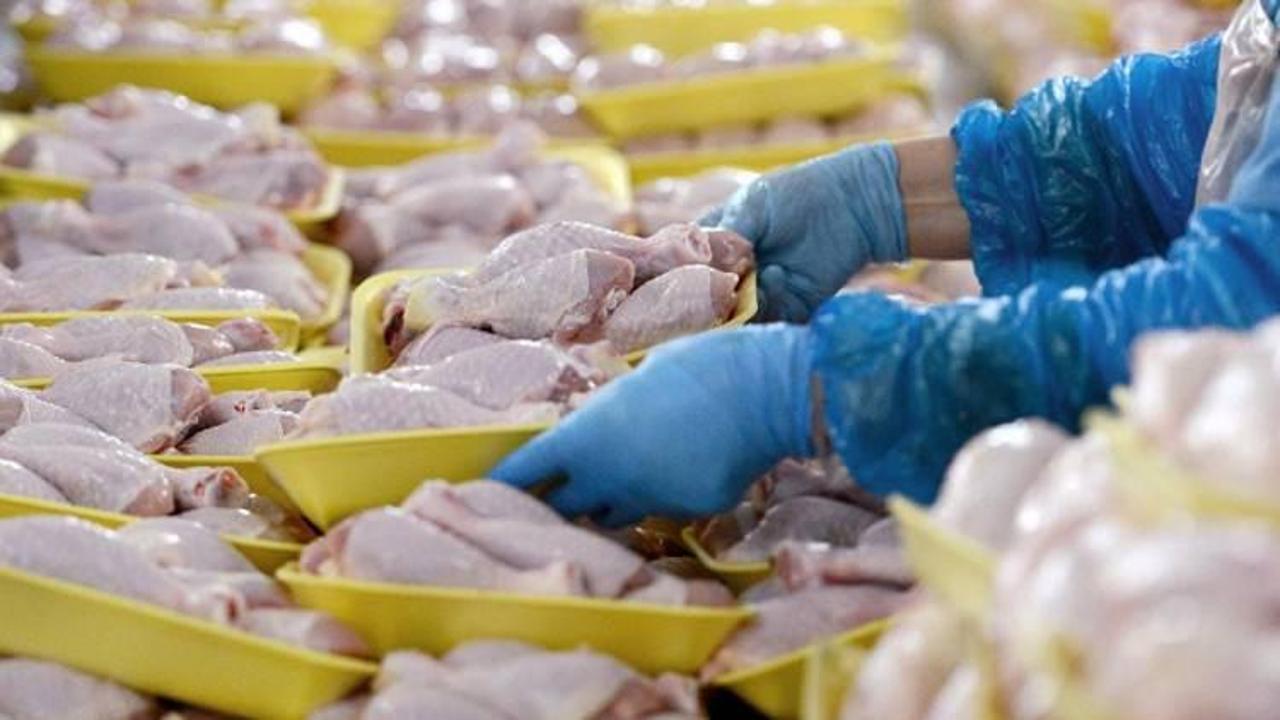 Suudi Arabistan'dan tavuk ithalatı yasağı