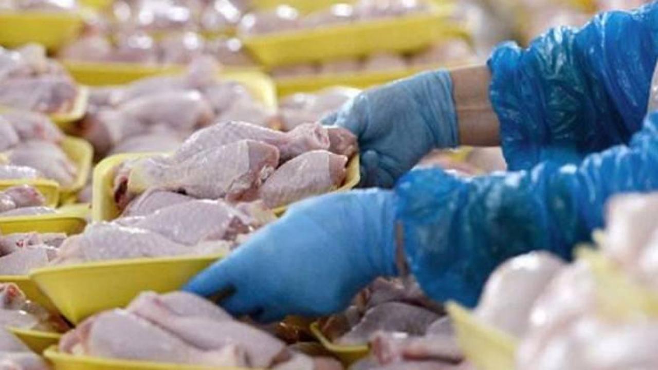 Suudi Arabistan'dan tavuk ithalatı yasağı  .