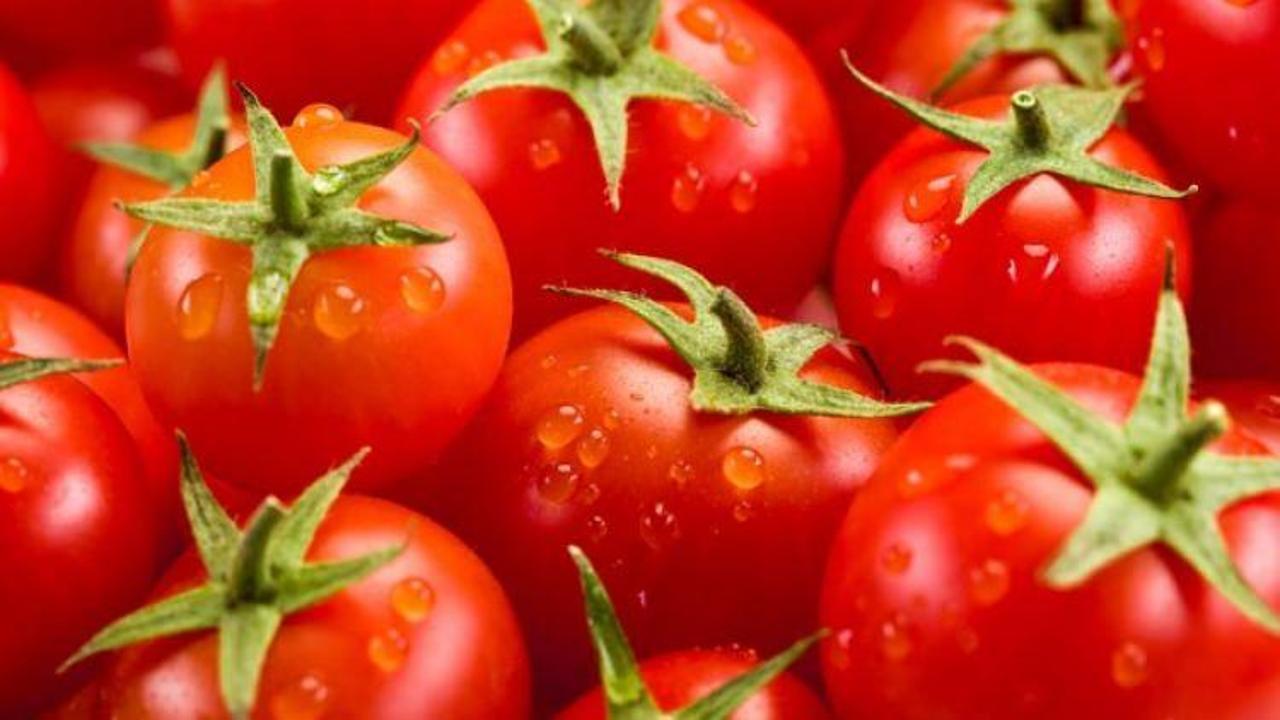 Çiğ domatesin inanılmaz faydası