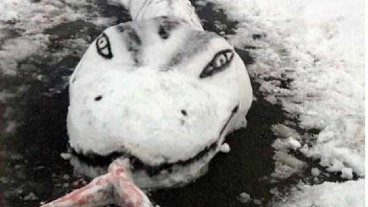 Sakarya'da kardan yılan yapıldı