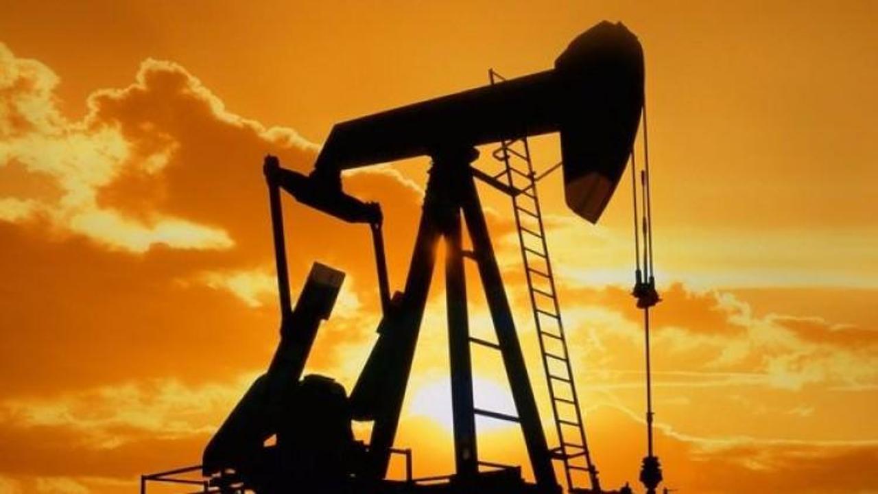 Ham petrol ithalatı aralıkta arttı