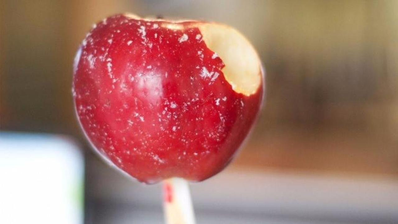 Isırmadan &ouml;nce mutlaka bunu yapın!