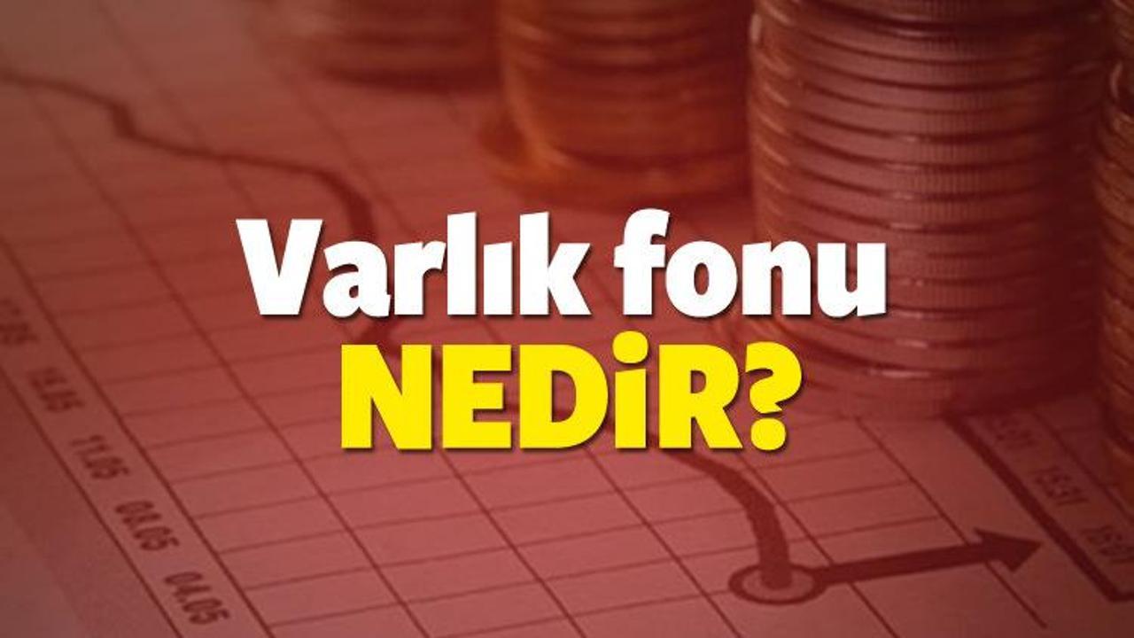 Varlık fonu nedir? Hangi şirketler varlık fonu i&ccedil;indedir?
