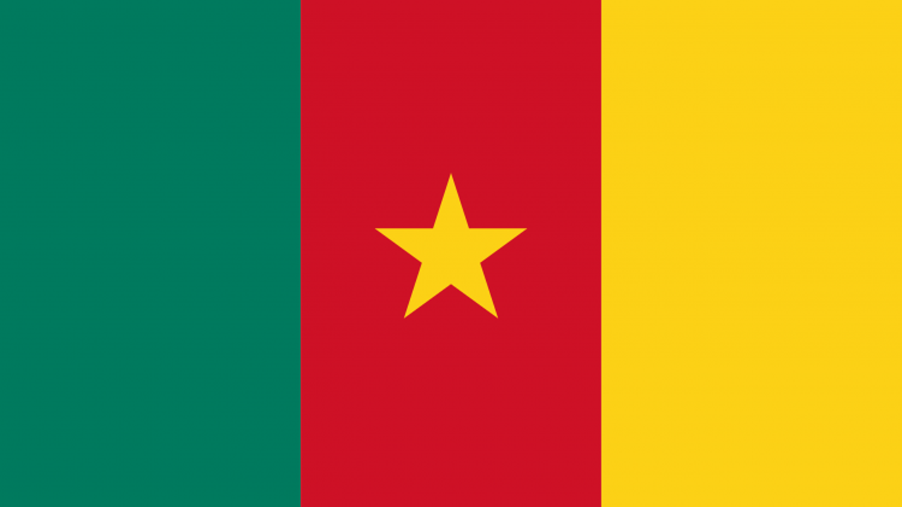 Kamerun'da mayın patladı! 