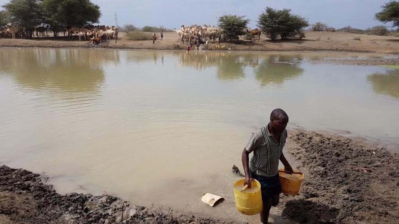 Kuraklık Kenya&rsquo;yı tehdit ediyor