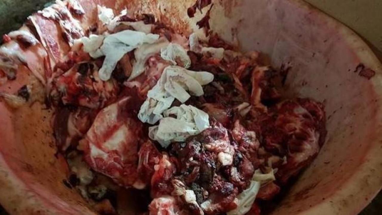 Söke'de 200 kilogram domuz eti ele geçirildi