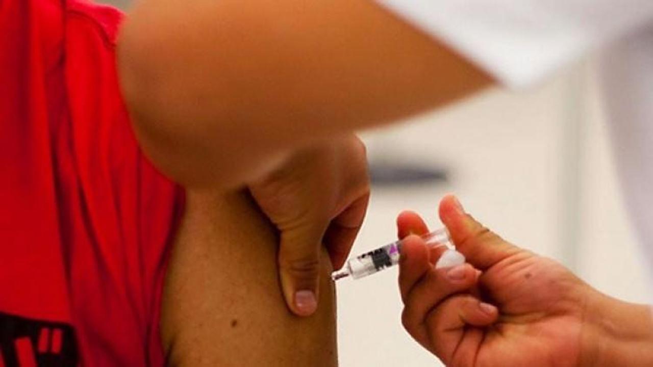 Sivrisinek aşısı için gönüllüler aranıyor 