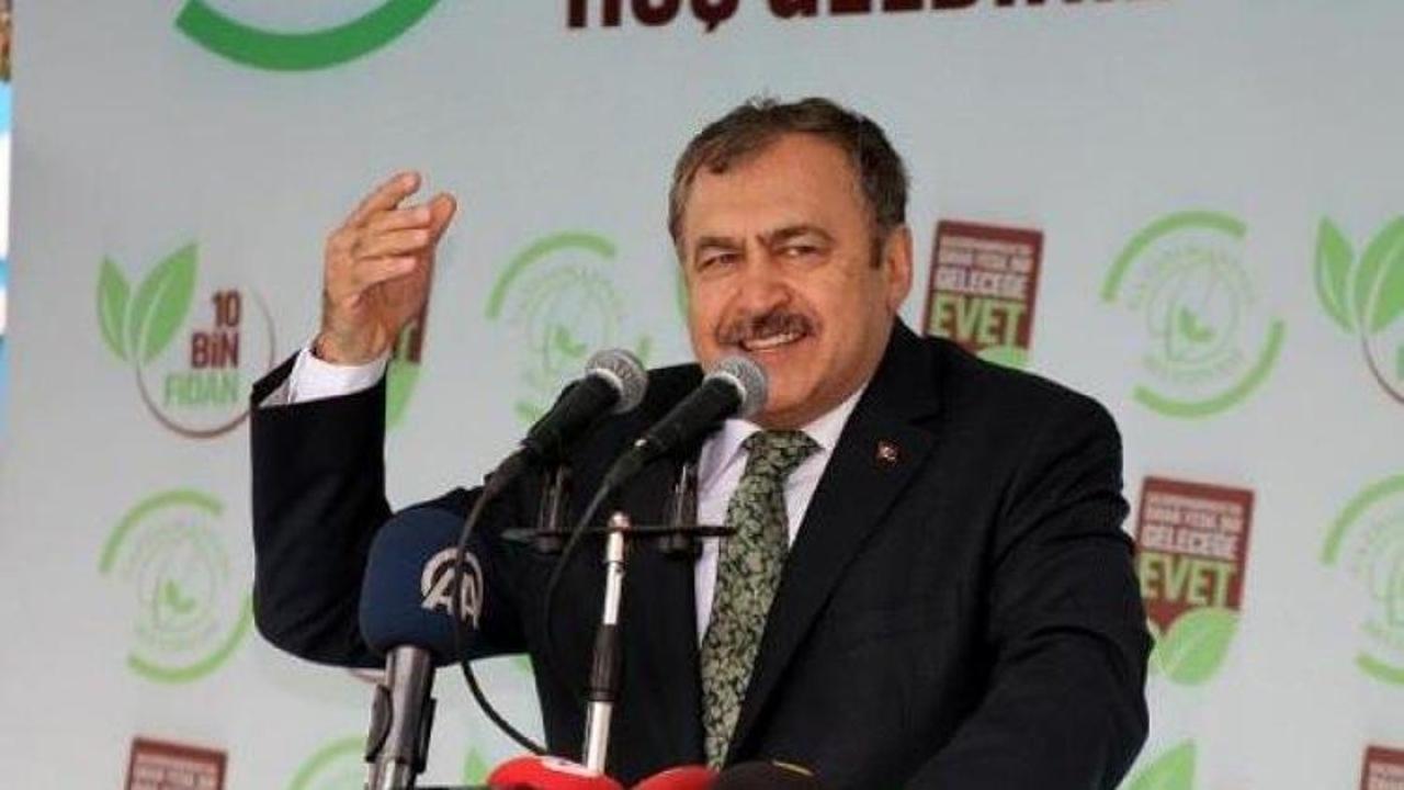 Bakan Eroğlu, Gaziosmanpaşa'da fidan dağıttı