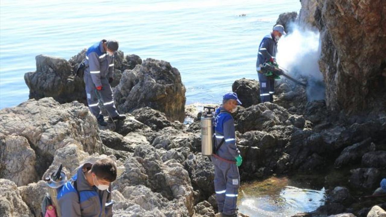 Antalya ve ilçelerinde sinekle mücadele