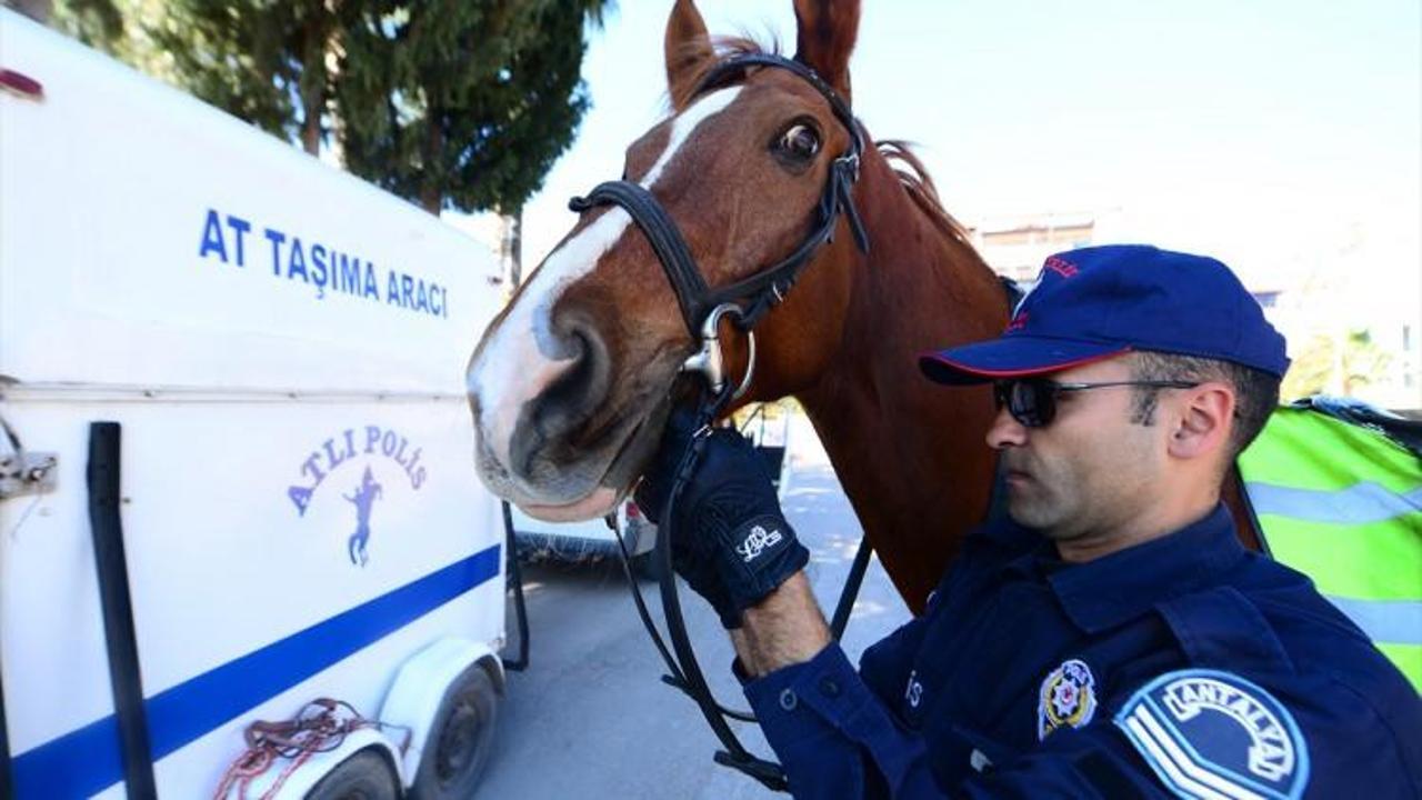 Antalya sahillerinin güvenliği "atlı polislere" emanet