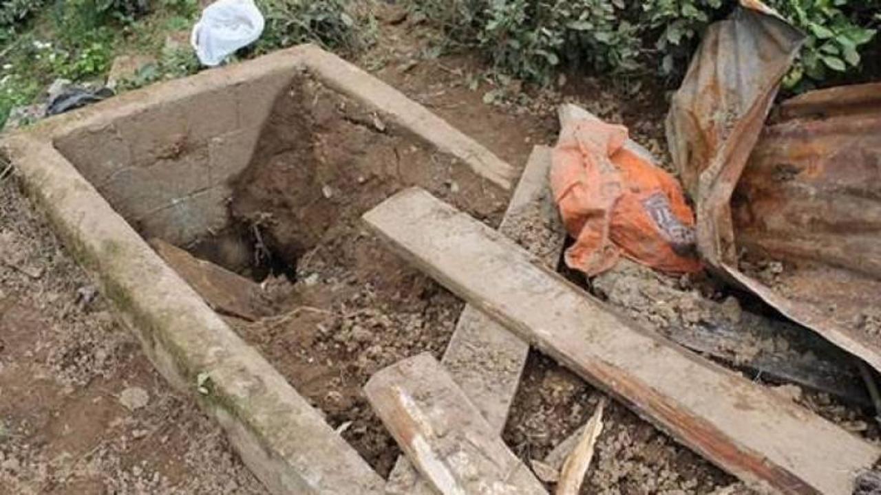 Mezarlıkta ayı dehşeti! 15 metre uzakta bulundu