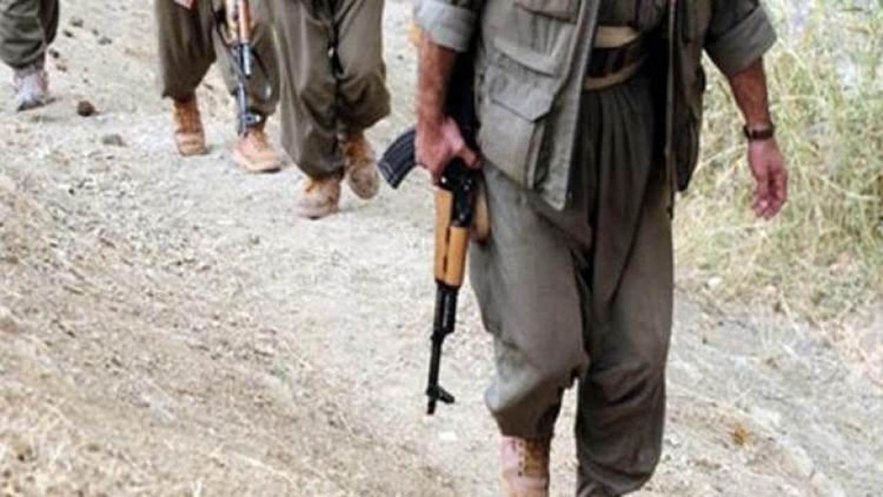 PKK yöneticisi Kulp kırsalında yakalandı!