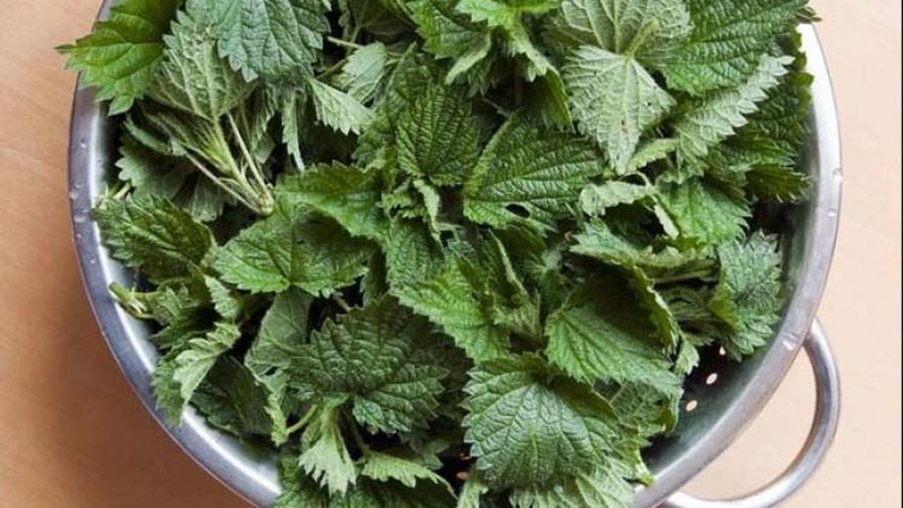 Giresun'dan yayılan efsane tarif