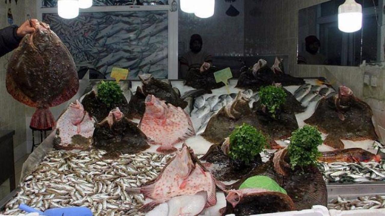 Karadeniz'de kalkan balığı bolluğu
