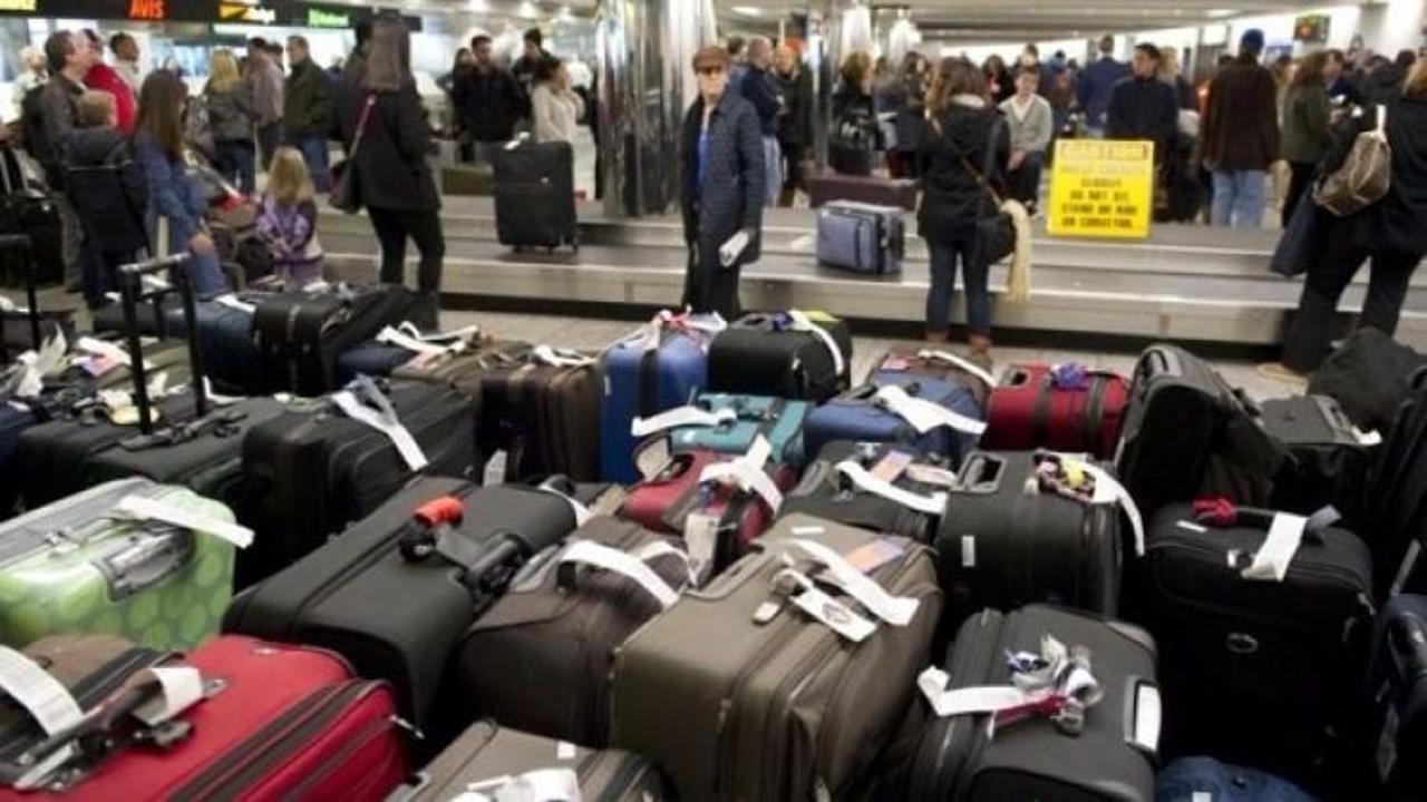 Havalimanında bagajı açınca donup kaldılar! 