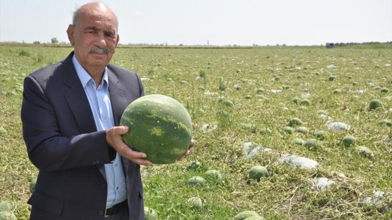 Mersin'de yağış ve dolu, ekili araziler zarar verdi