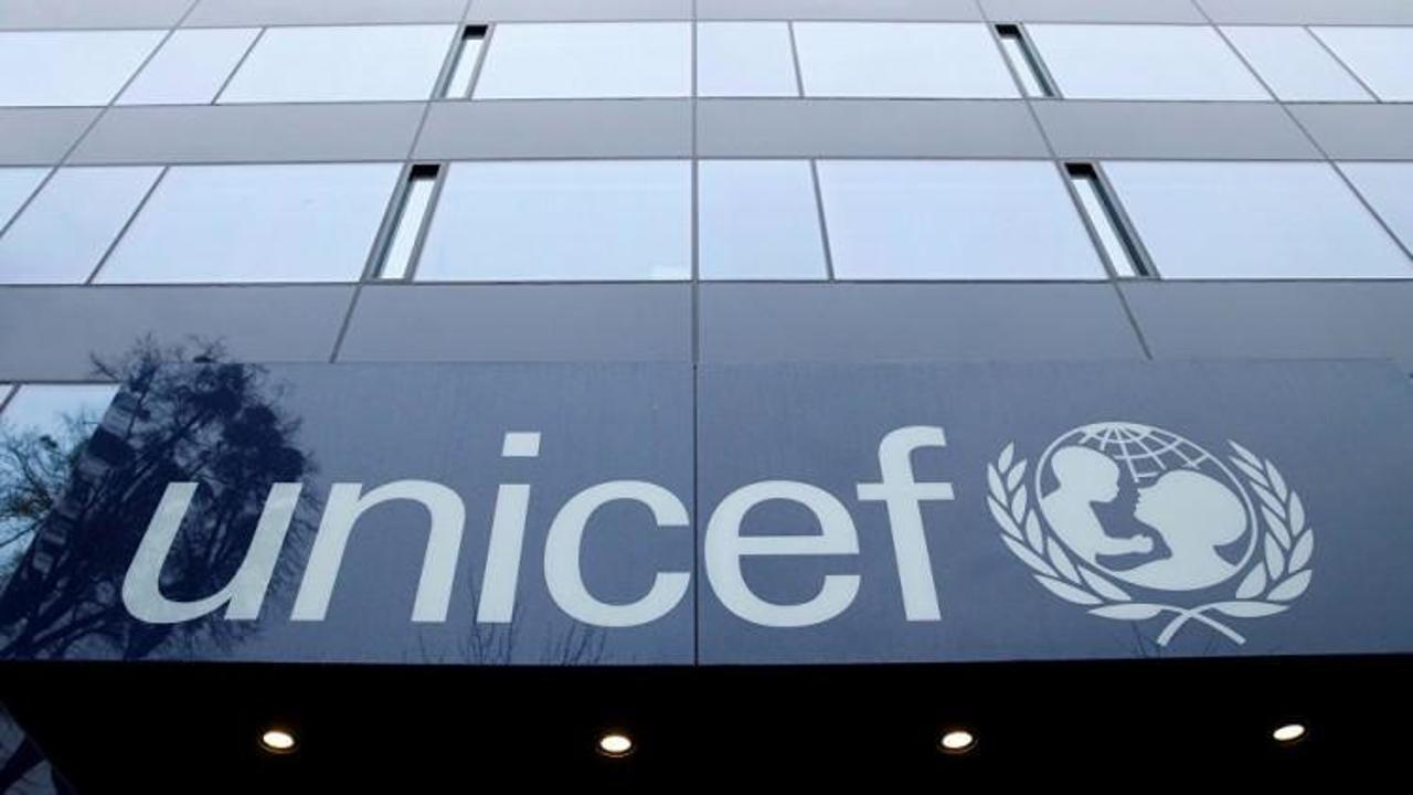 UNICEF direktörünün Güney Afrika'daki sır ölümü!