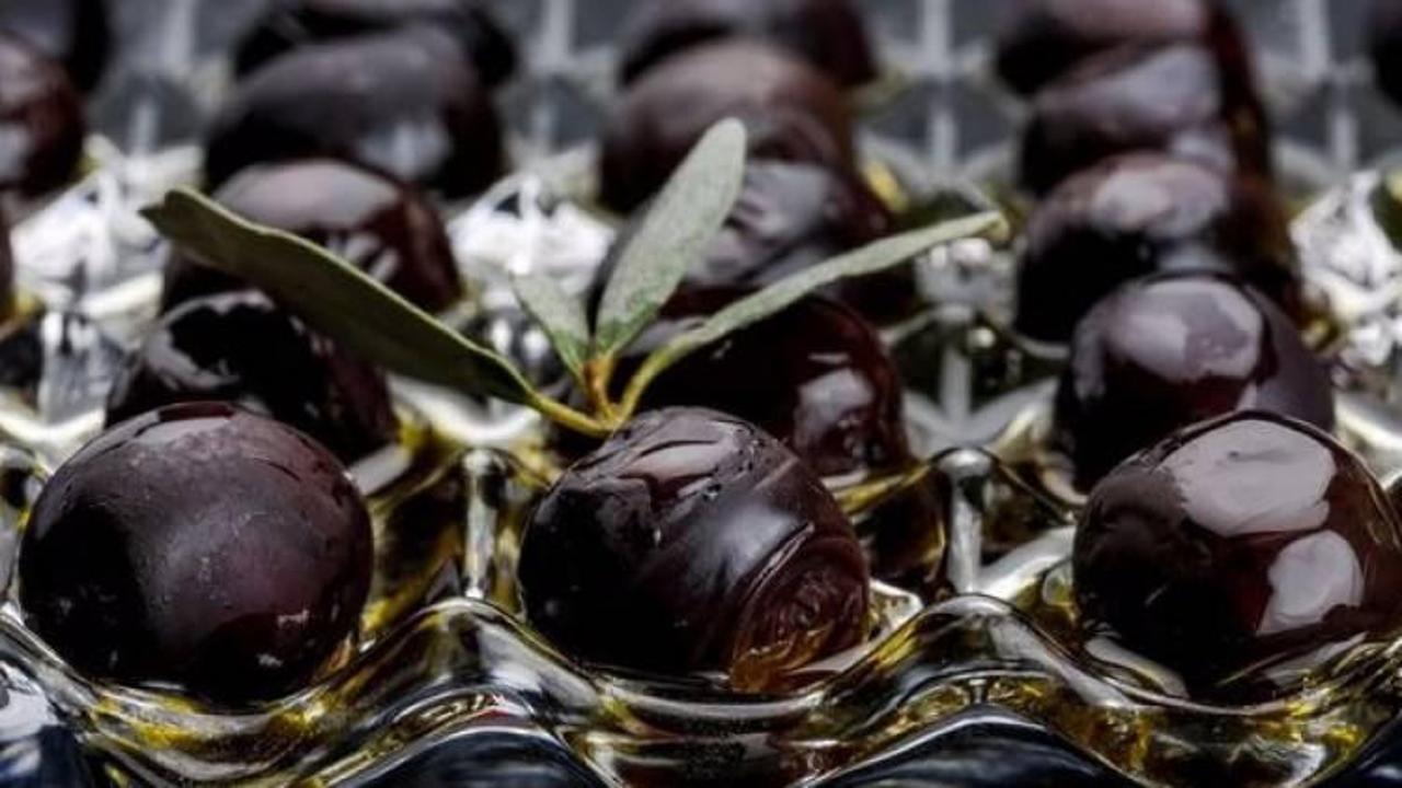 Marmarabirlik kar payı dağıtımına yarın başlıyor