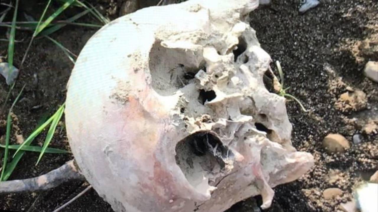 Bartın'da ırmak kenarında kafatası bulundu