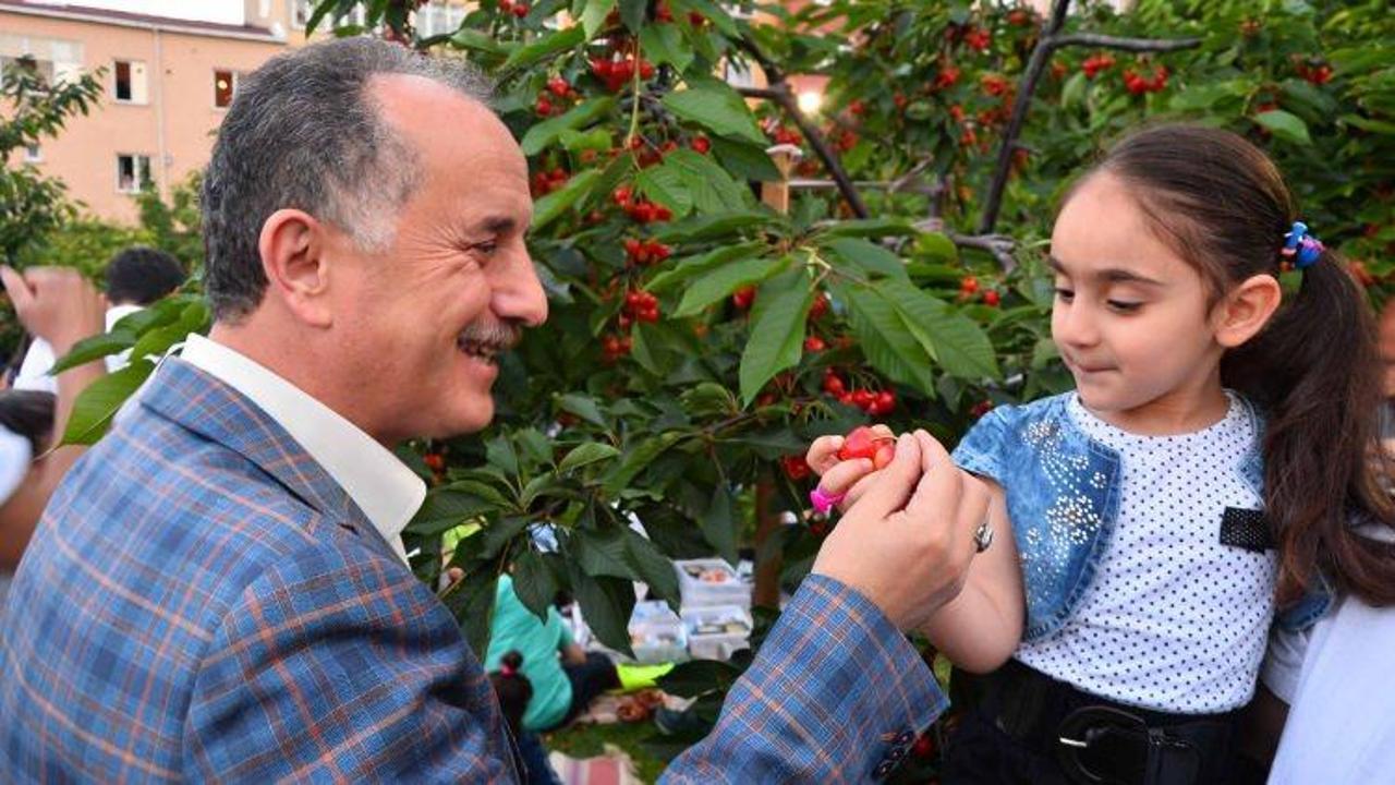 İftar sonrası kiraz bahçesi kuruldu!