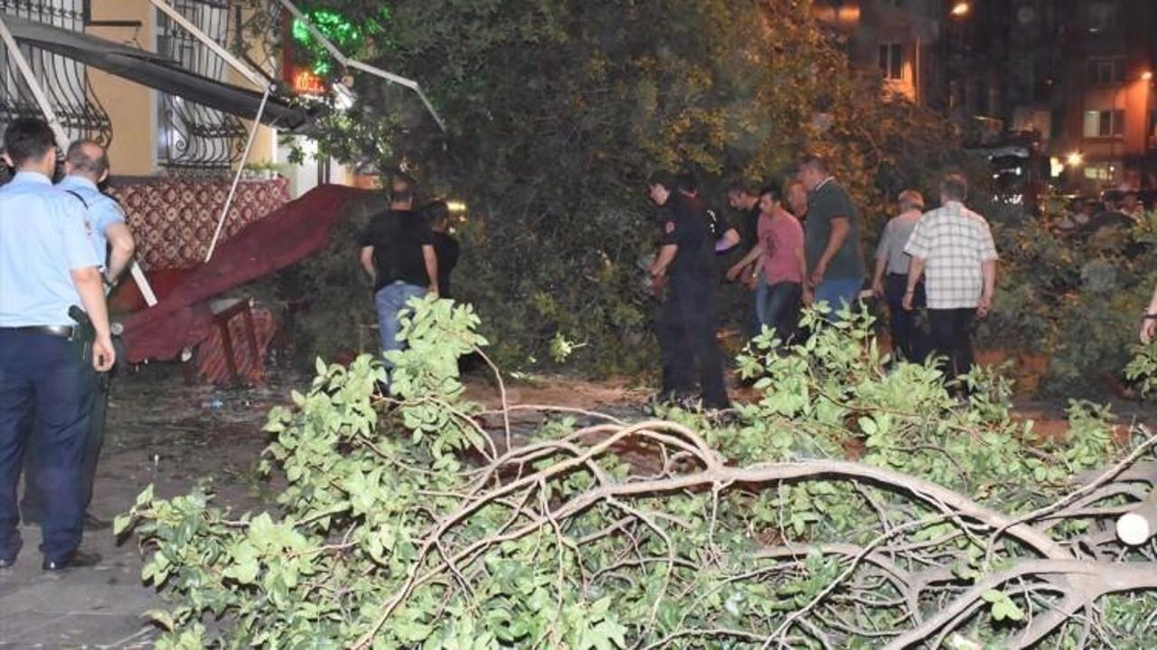 Kadıköy'de ağaç devrildi: 3 yaralı 