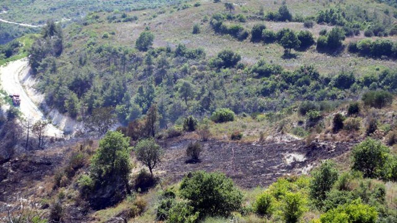 Suriye sınırında orman yangını