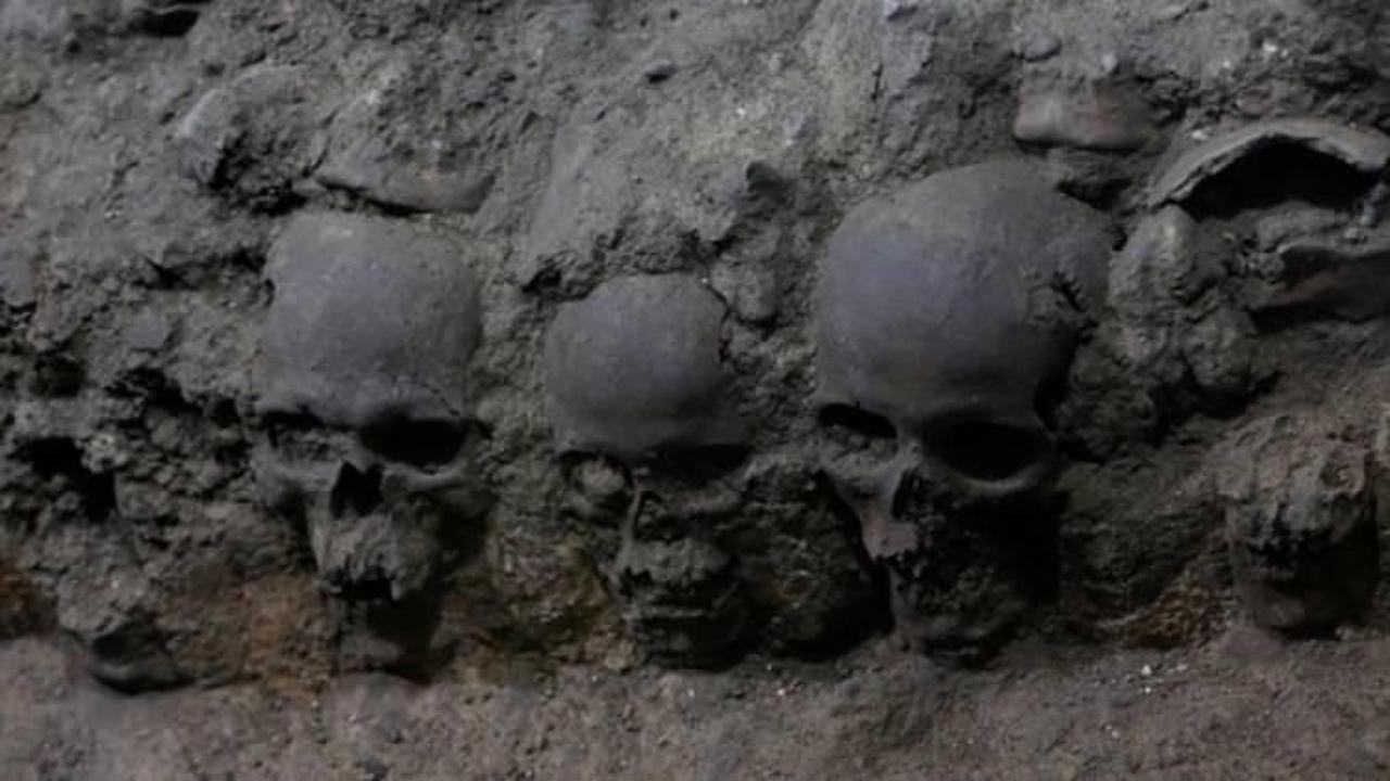 Arkeologlar 650 kafatası buldu