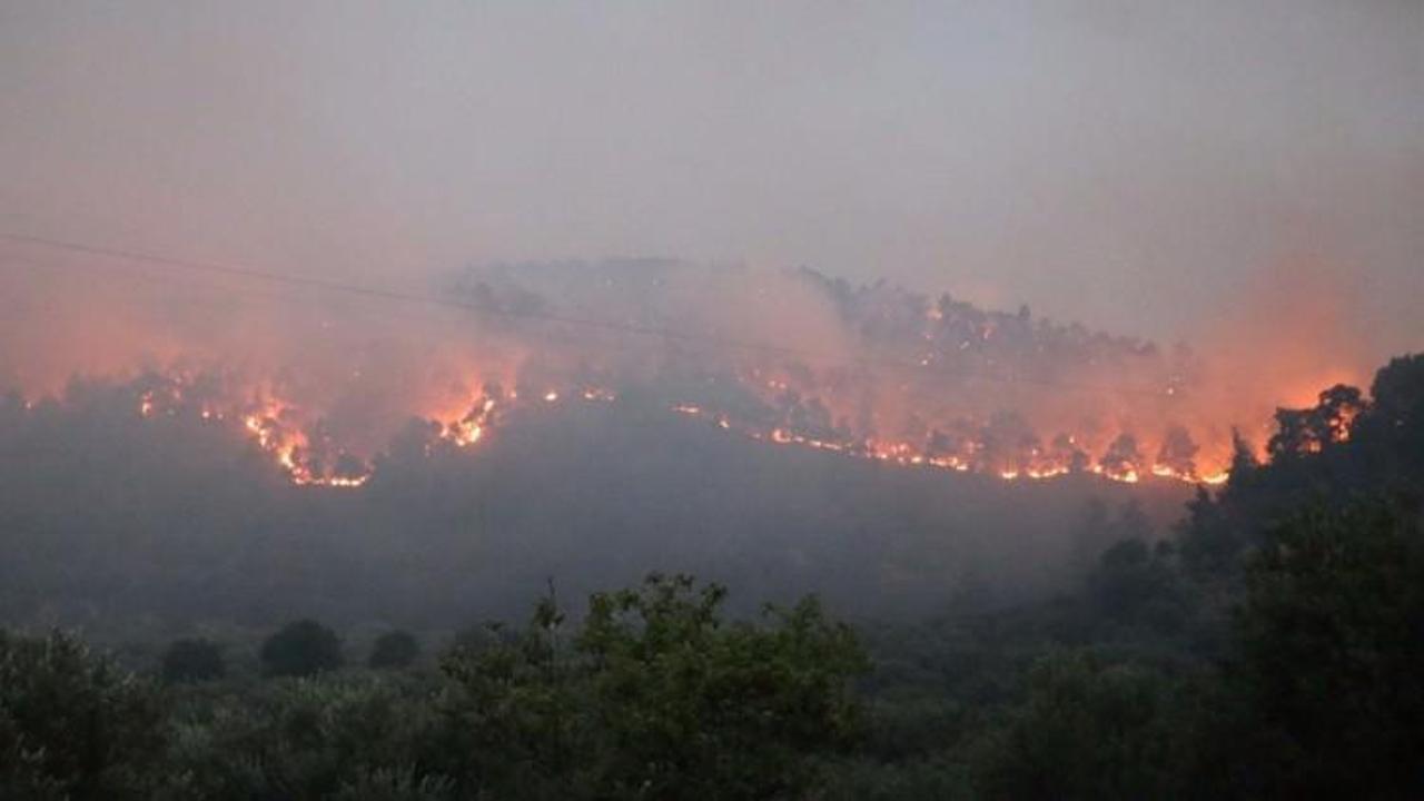Orman yangınlarıyla ilgili flaş açıklama