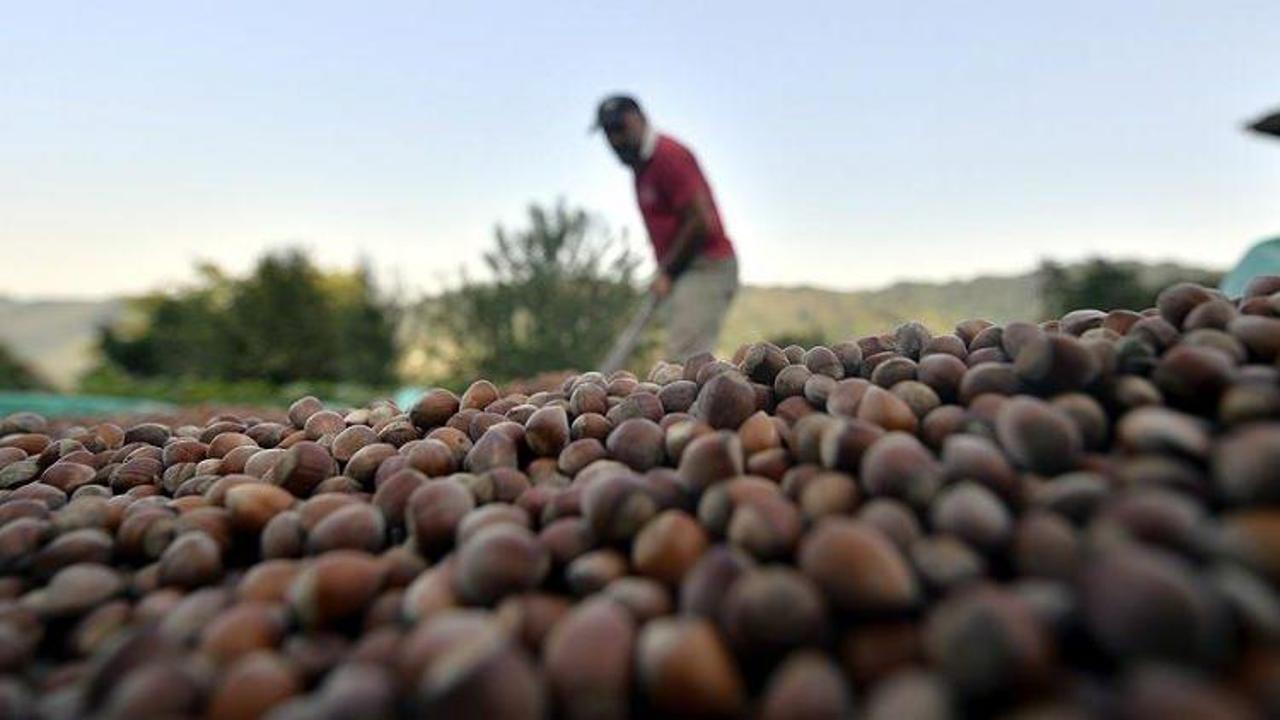 Doğu Karadeniz'den 108 ülkeye ihracat