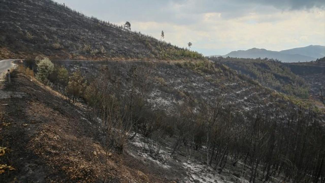 Bayındır'daki orman yangını kontrol altına alındı
