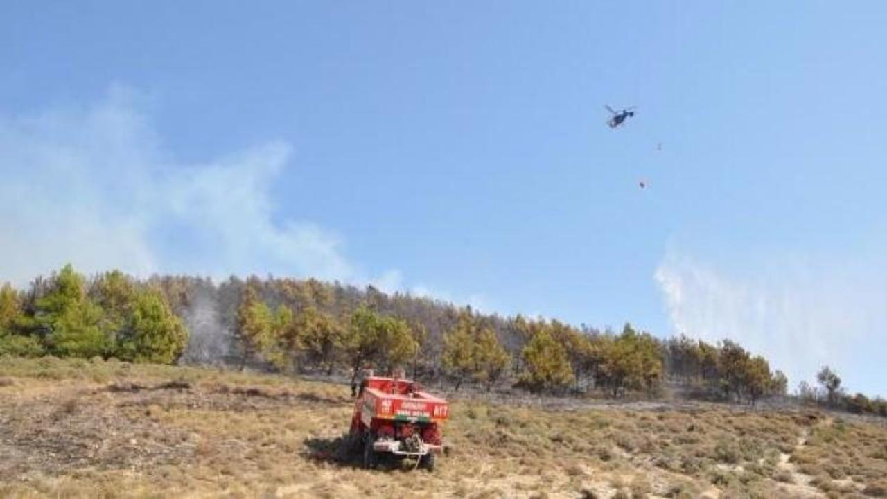 Aliağa'da 1 hektar kızılçam ormanı yandı