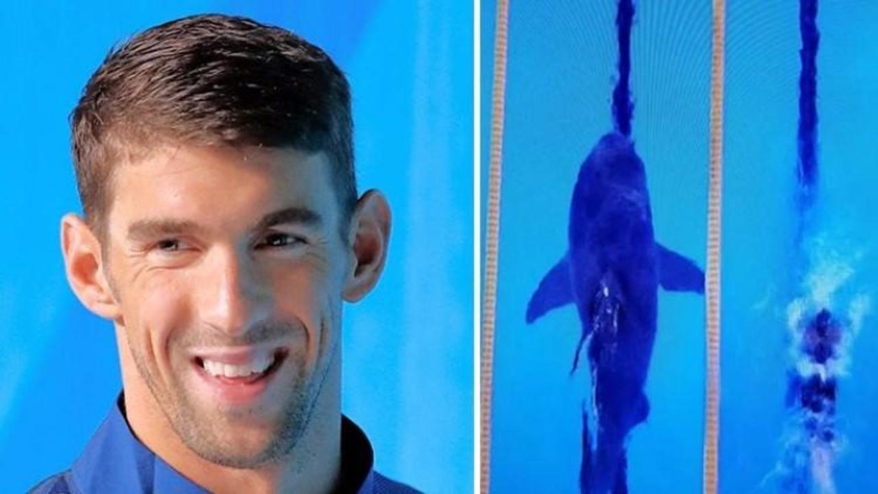 Phelps, köpek balığıyla yarıştı! Kazanan...