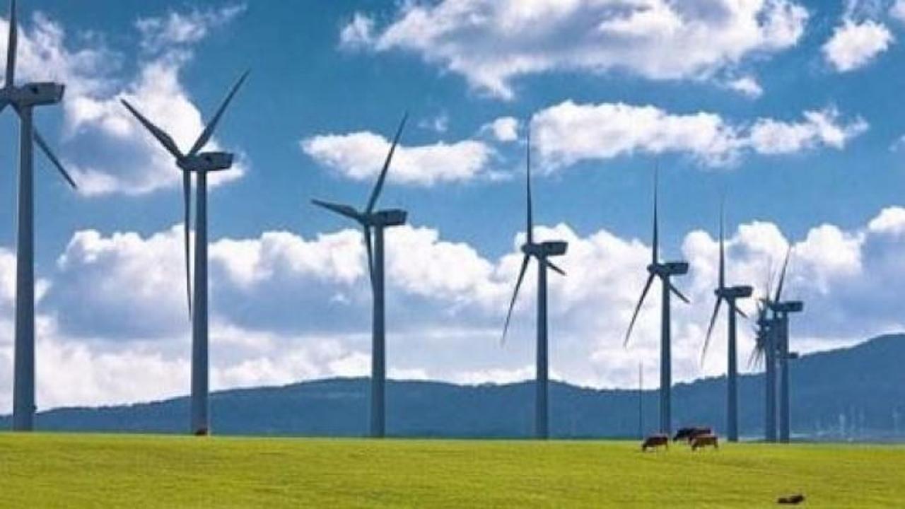 Türkiye rüzgar enerjisinde Avrupa'dan daha verimli