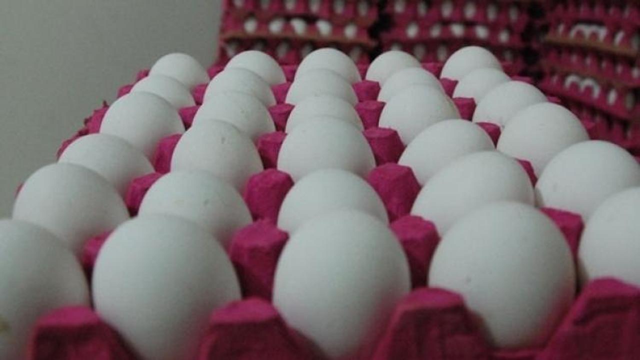 Avrupa'da böcek ilaçlı yumurta alarmı