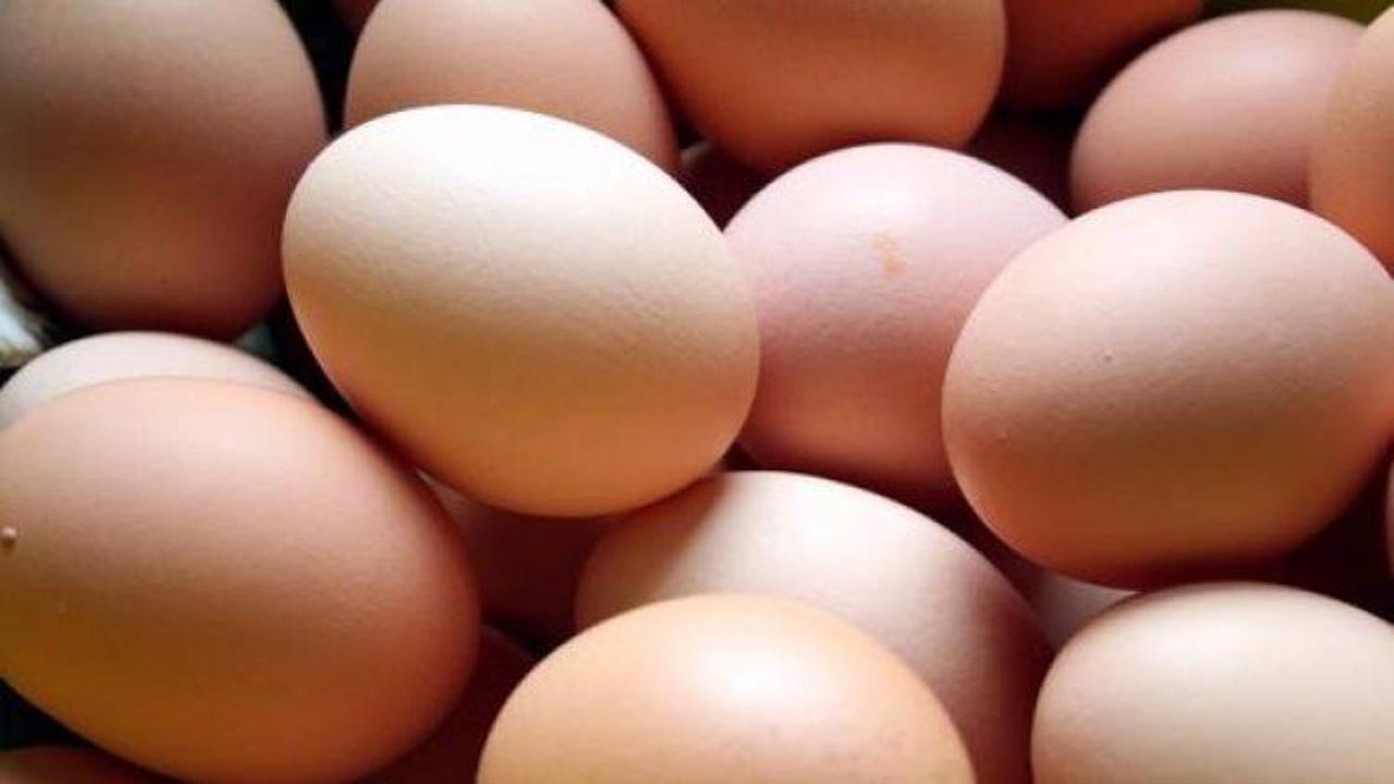 Yumurta krizi İtalya’ya da sıçradı 