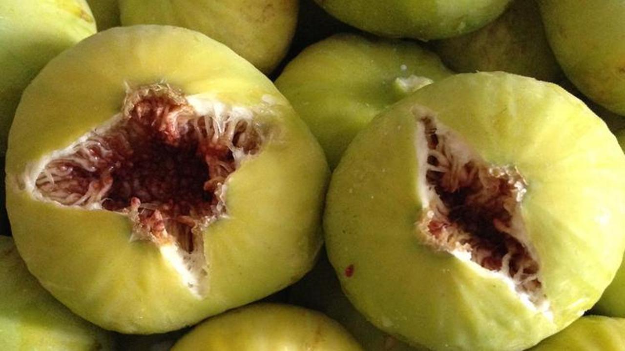 Beyaz İncir neye iyi gelir? Beyaz İncirin bilinmeyen faydaları